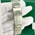 Rolex Oyster Perpetual 41 Pistachio Dial 134300