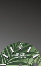 Rolex Datejust 36 mm Palm Dial Green Oystersteel and 18k White Gold