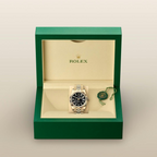 Rolex Sky-Dweller Oyster, 42 mm, yellow gold