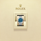 Unworn 2025, Rolex Oyster Perpetual, Oystersteel 41mm, Blue dial, Domed Oyster