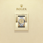 Unworn 2025, Rolex Oyster Perpetual, Oystersteel 41mm, Beige dial, Domed Oyster